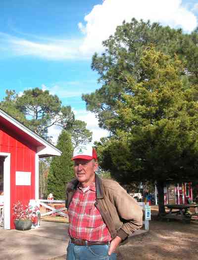 Milton:-Christmas-Tree-Farm_04.jpg:  christmas tree, fir tree, cumulus clouds, cedar tree, row of trees, dirt road