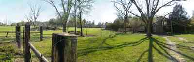 Milton:-Green-Goat-Farm_01b.jpg:  fence, pecan tree, goat, barn, post