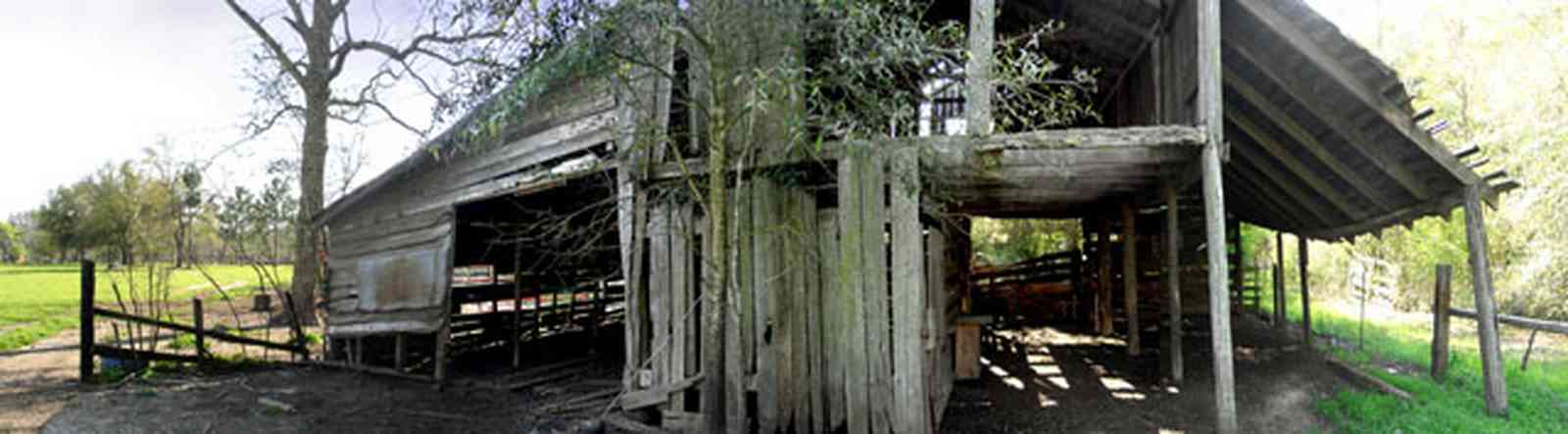 Milton:-Green-Goat-Farm_01d.jpg:  old barn, heart-pine lumber, pecan tree, shed
