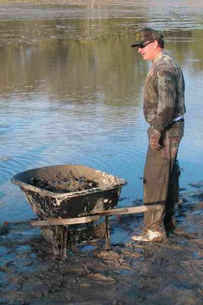 Milton:-Stewart-Farm_03.jpg:  shrimp, cast net, fish farm, wheelbarrow, mud, prawns