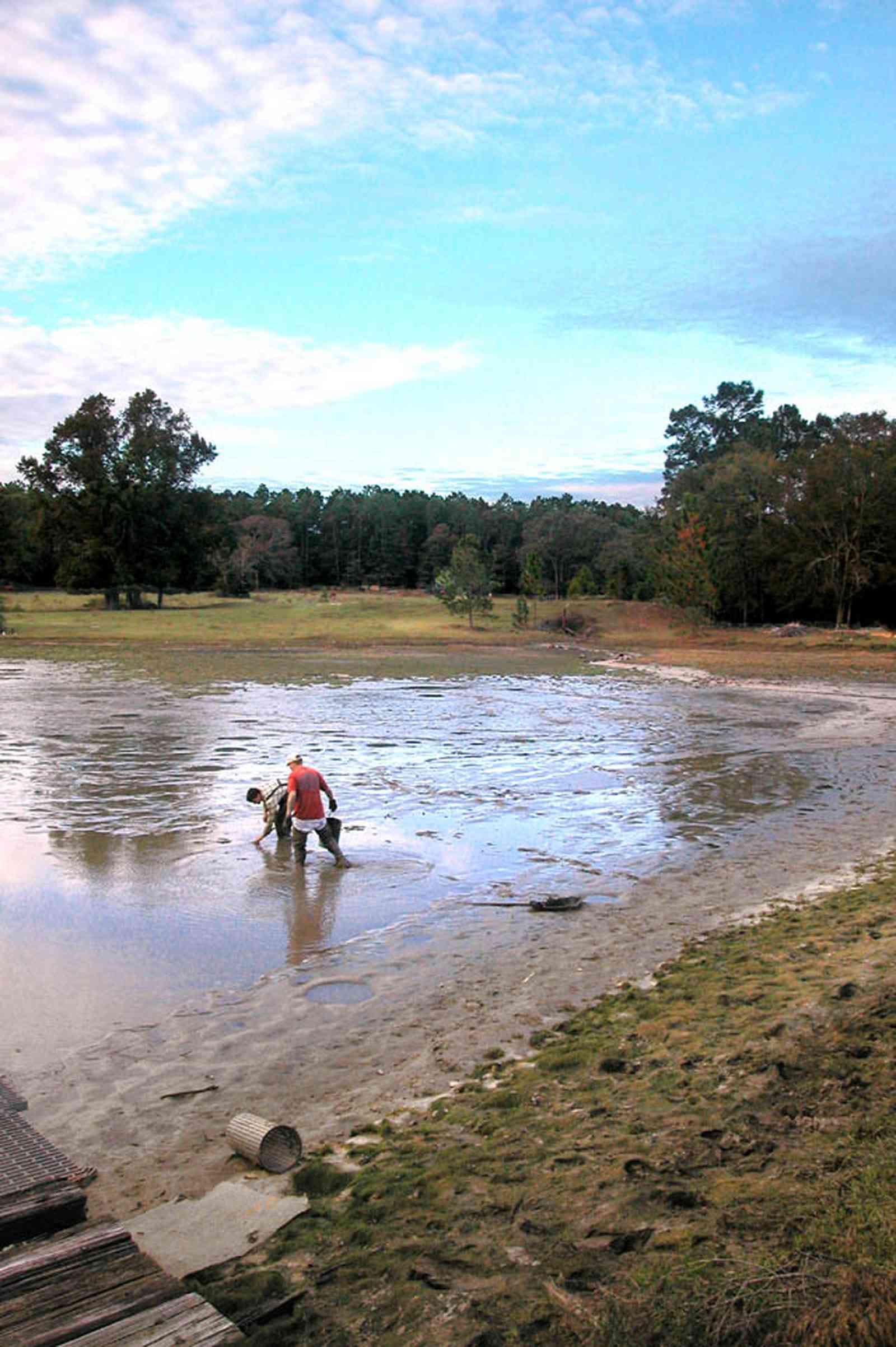 Milton:-Stewart-Farm_04.jpg:  lake, net, seine, cast net, fishermen, fish pond, fish farm, pier, prawns, shrimp