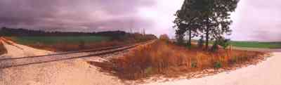 Molino:-Farmland_2.jpg Molino:-Farmland_2.jpg: winter wheat, railroad tracks, pine trees, pasture land, dirt road, farm land