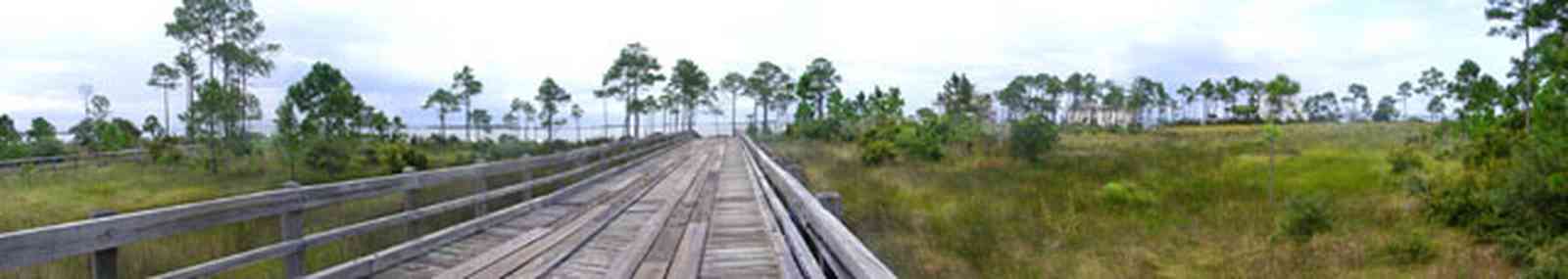 Navarre:-Biscayne-Pointe-Drive-House_02.jpg:  wet land, marsh, swamp, wooden bridge, pine tree