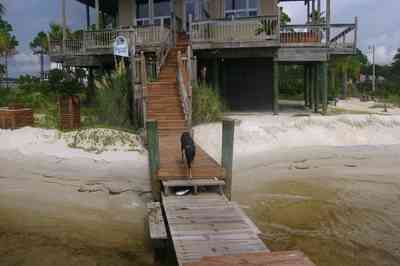 Navarre:-Biscayne-Pointe-Drive-House_23.jpg:  santa rosa sound, deck, porch, pier, palm tree, dog