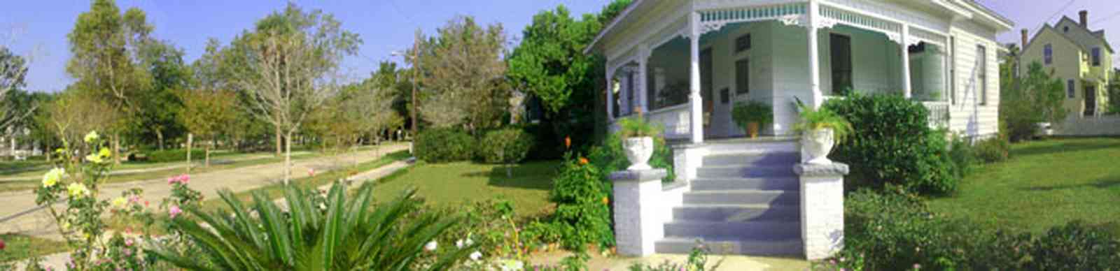 North-Hill:-1000-Reus-Street_SE_07.jpg:  rose garden, sego palm tree, victorian house