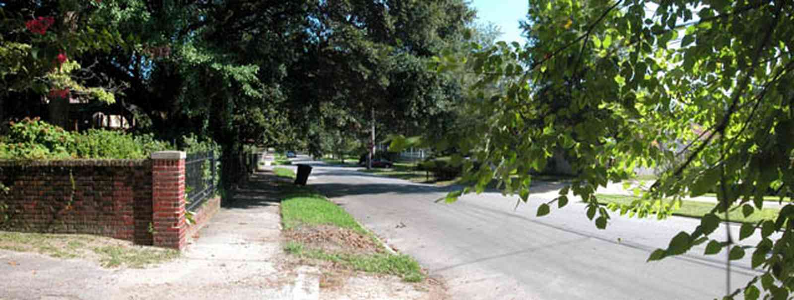 North-Hill:-105-West-Gonzales-Street_72.jpg:  brick fence, wrought iron fence, oak tree, neighborhood, service alley