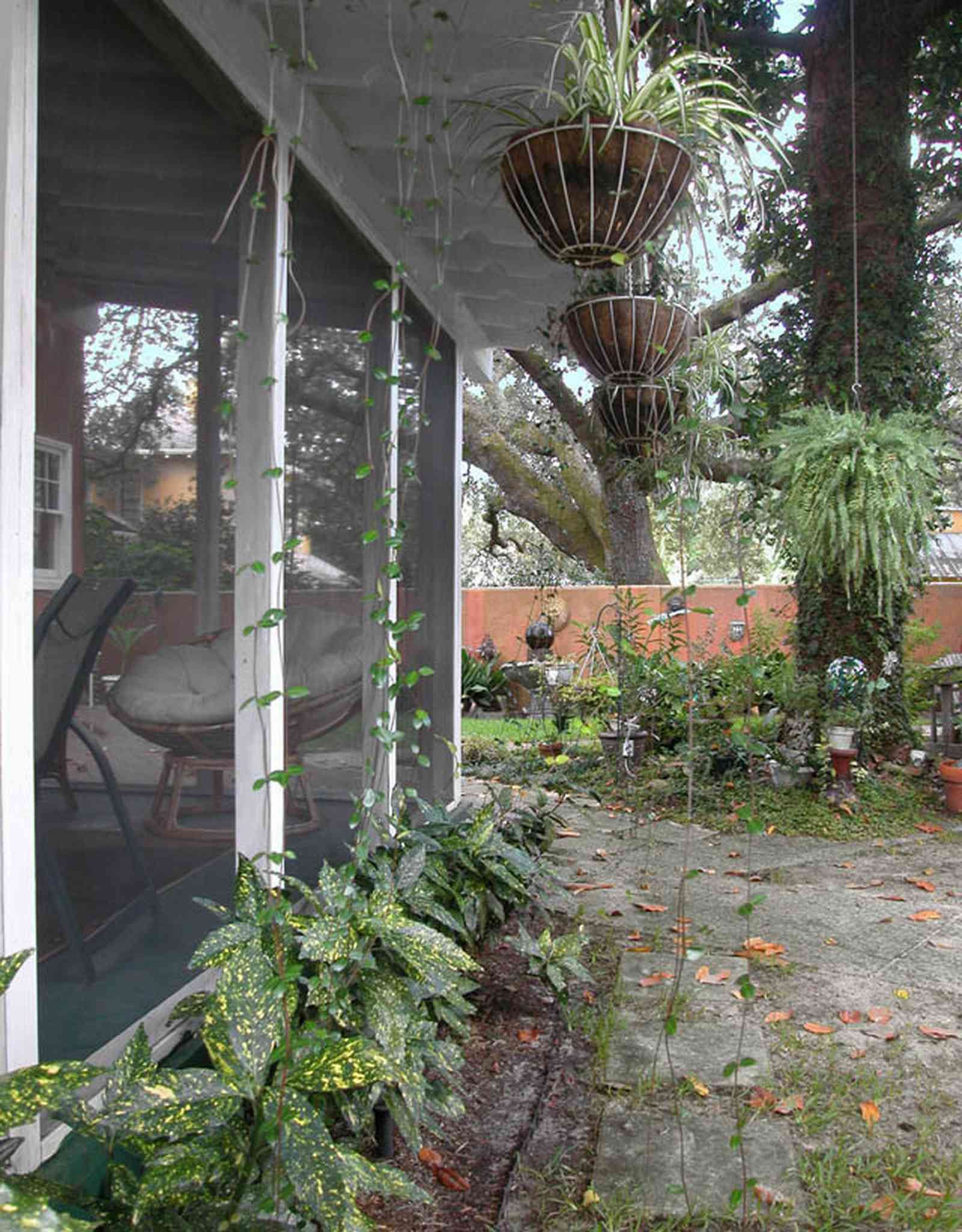 North-Hill:-123-West-Lloyd-Street_27.jpg:  backyard, garden, screened porch, fern baskets, oak tree, stucco wall