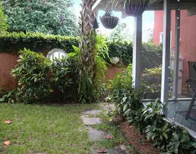 North-Hill:-123-West-Lloyd-Street_30.jpg:  backyard, stucco walls, palm tree, window