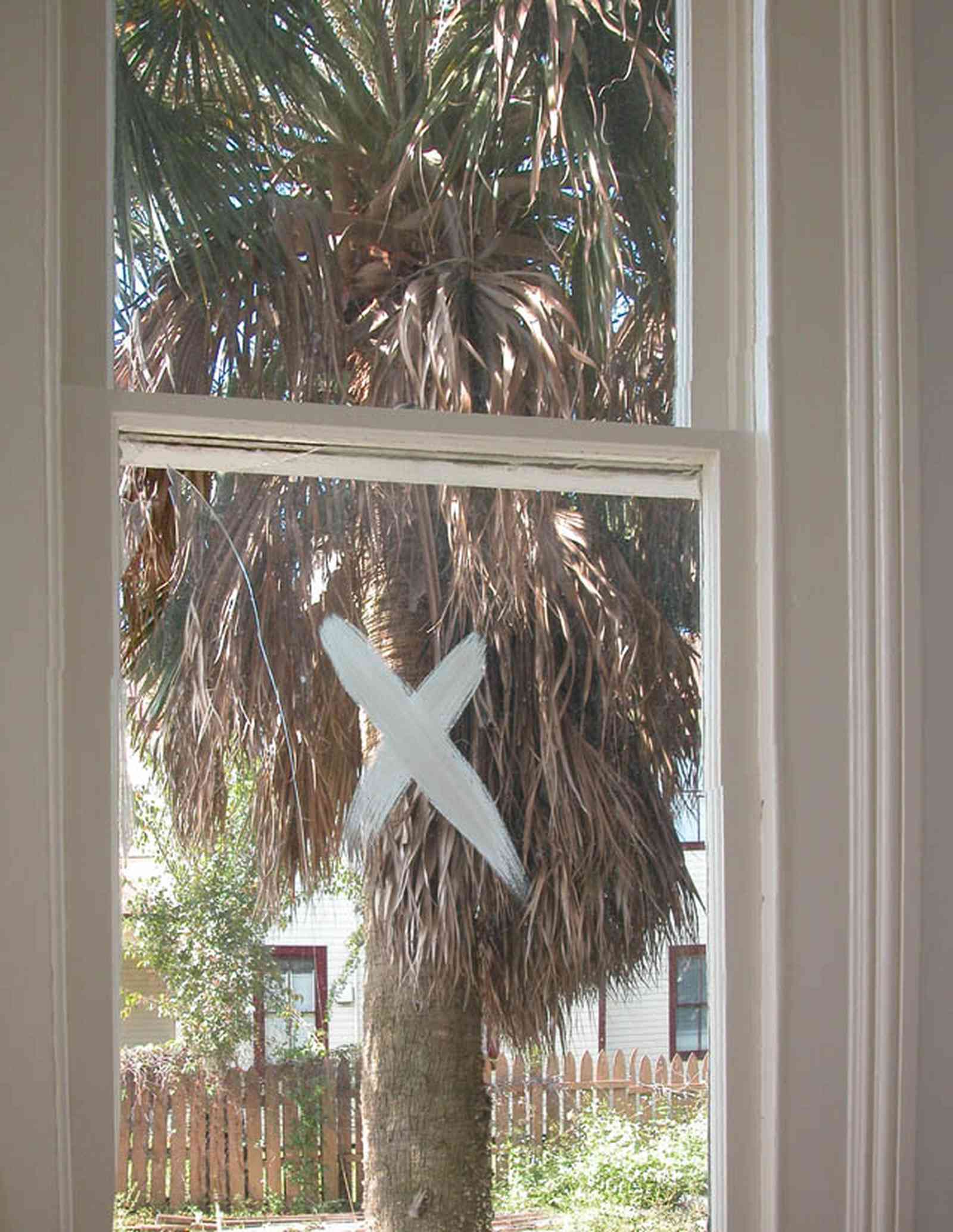 North-Hill:-200-West-Jackson-Street_09.jpg:  palm tree, bay window, picket fence,  casement window, one-over-one window, victorian house