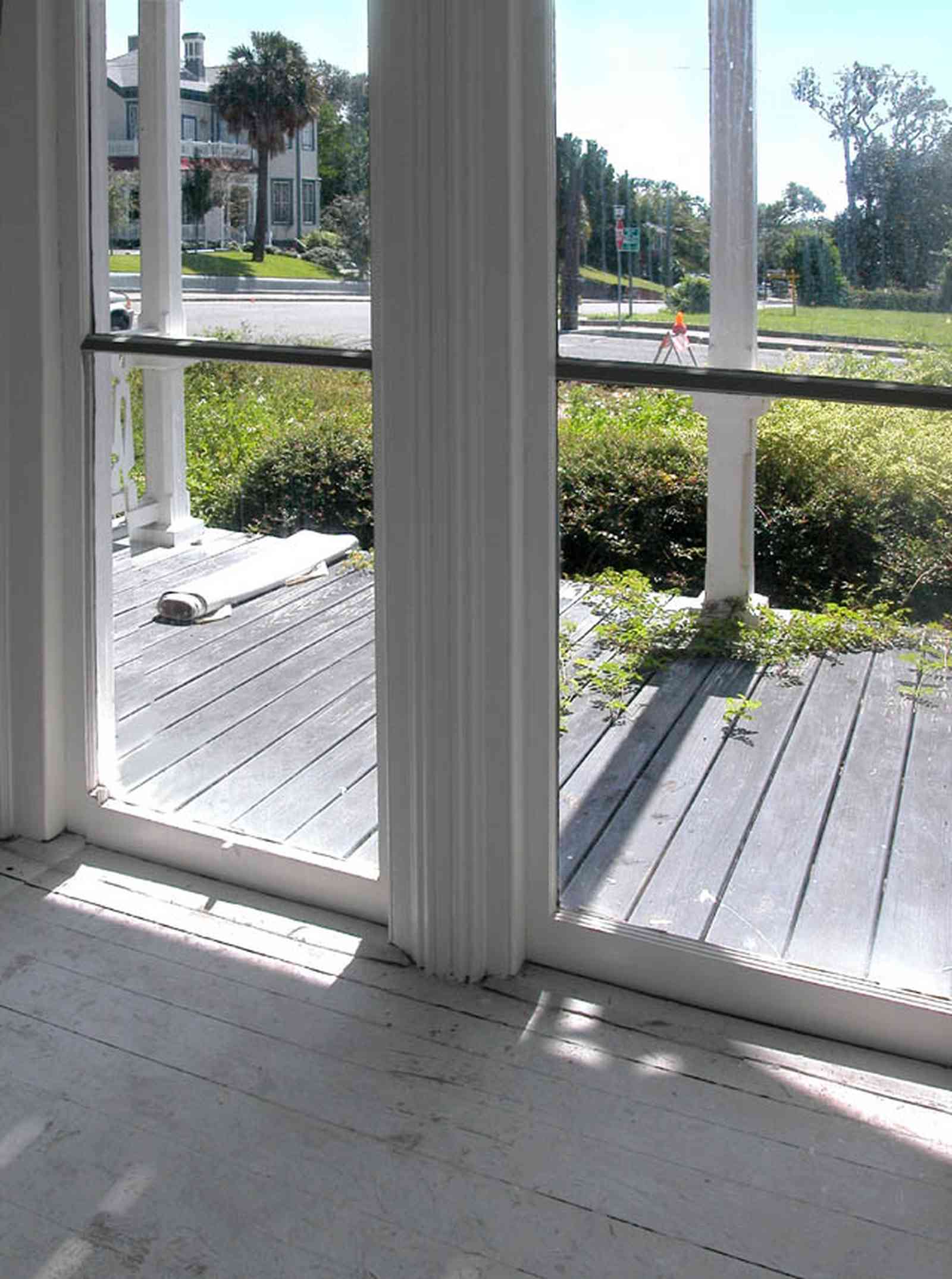 North-Hill:-200-West-Jackson-Street_13.jpg:  front porch, floor lenght windows, heartpine floors, palm tree, victorian house