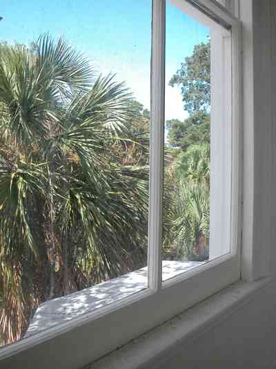 North-Hill:-200-West-Jackson-Street_34.jpg:  palm tree, casement window, upstairs, victorian home