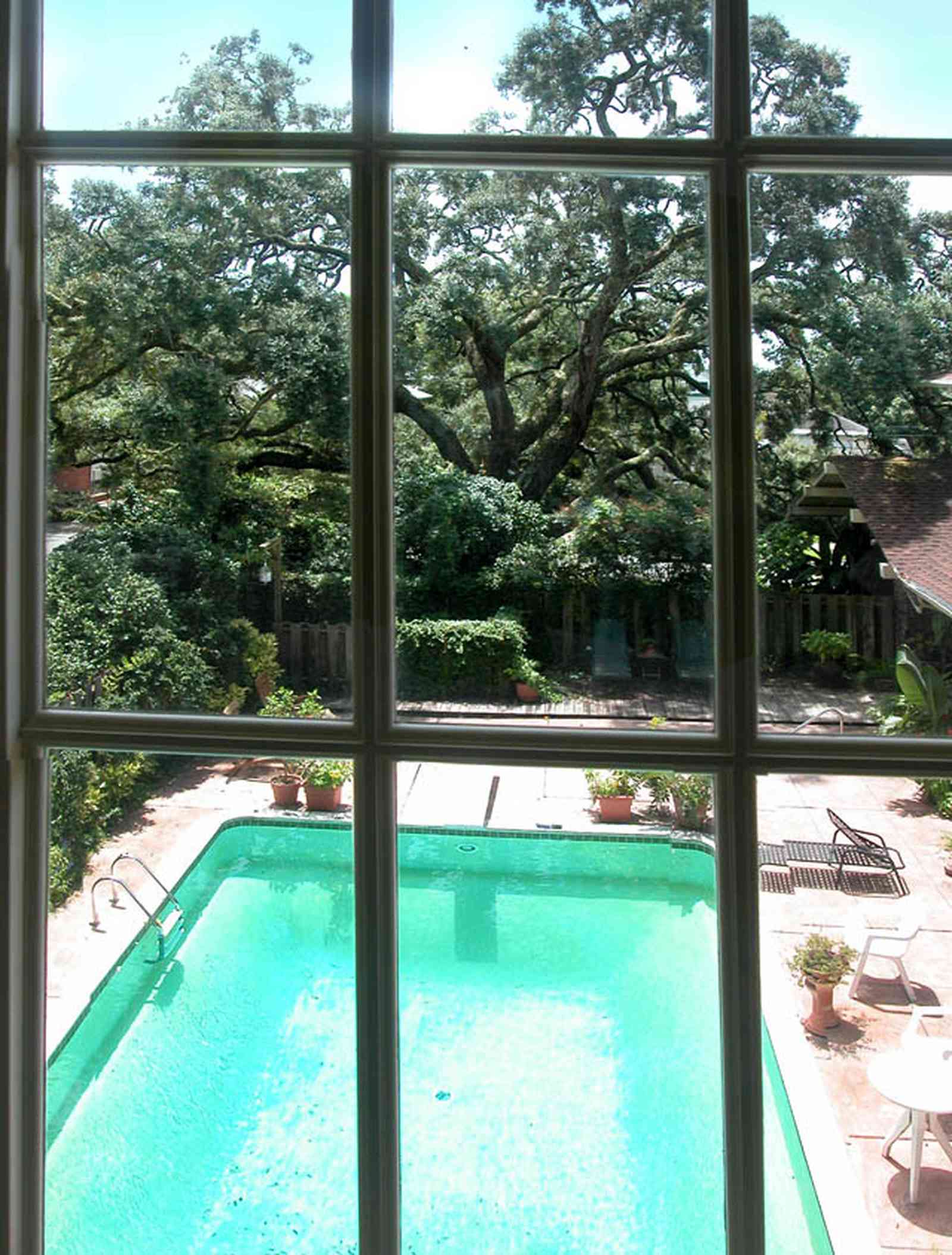North-Hill:-284-West-Gonzales-Street_27a.jpg:  swimming pool, oak tree, upstairs apartment, craftsman cottage