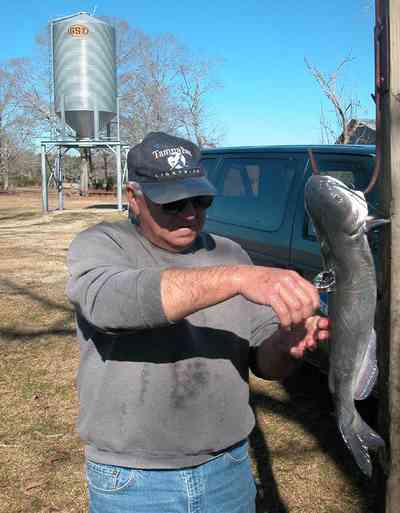 Oak-Grove:-Carpenters-Catfish-Farm_07aa.jpg:  cleaning catfish, gaffing hook, silo, catfish farm