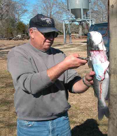 Oak-Grove:-Carpenters-Catfish-Farm_09.jpg:  skinning catfish, cleaning fish, gaffing hook, silo, catfish food