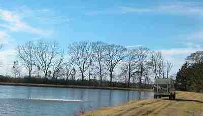 Oak-Grove:-Carpenters-Catfish-Farm_15.jpg:  catfish, pond, farm , , 