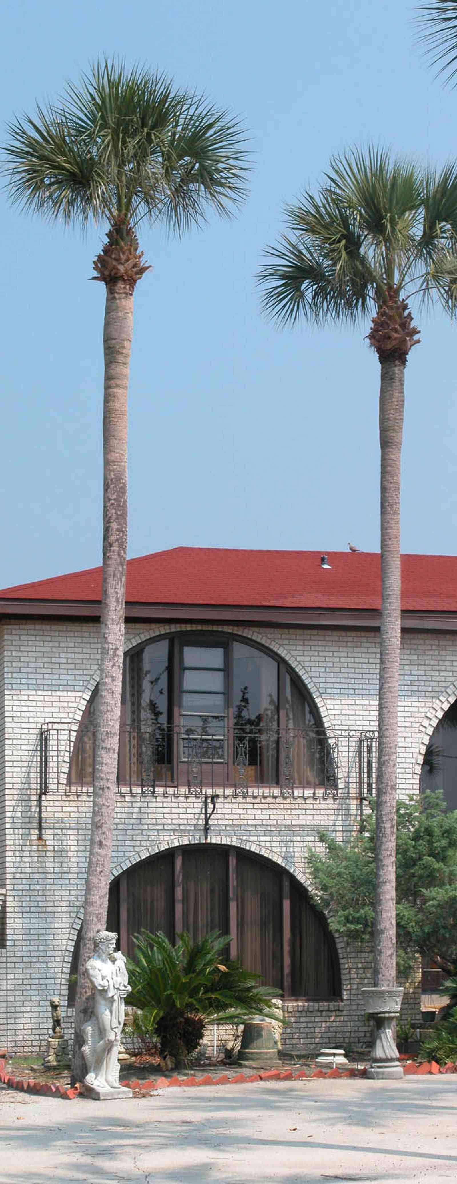 Pensacola-Beach:-237-Sabine-Drive_02.jpg:  meditterean architectural style, 1970's architecture, greek statue, palm tree, circular driveway, brick house