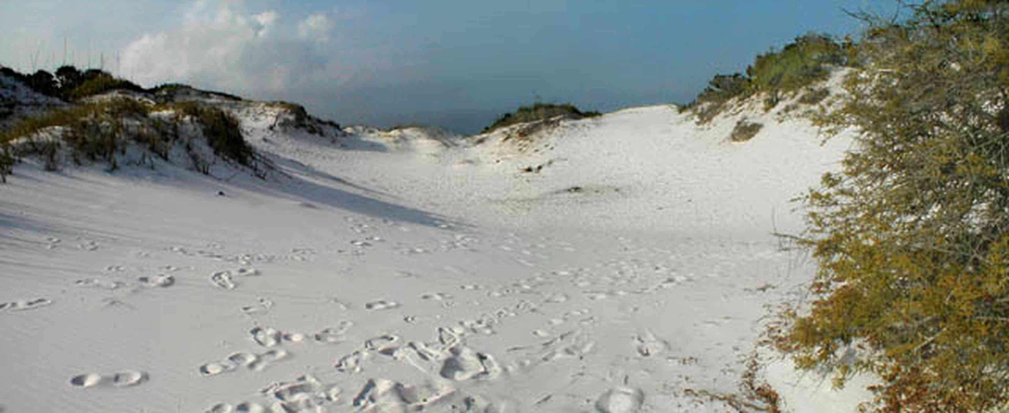 Pensacola-Beach:-Dunes_02.jpg:  santa rosa island, gulf of mexico, gulf islands national seashore, escambia county, cumulus clouds, beach, sand dunes, emerald coastsanta rosa island, gulf of mexico, gulf islands national seashore, escambia county, cumulus clouds, beach, sand dunes, emerald coast