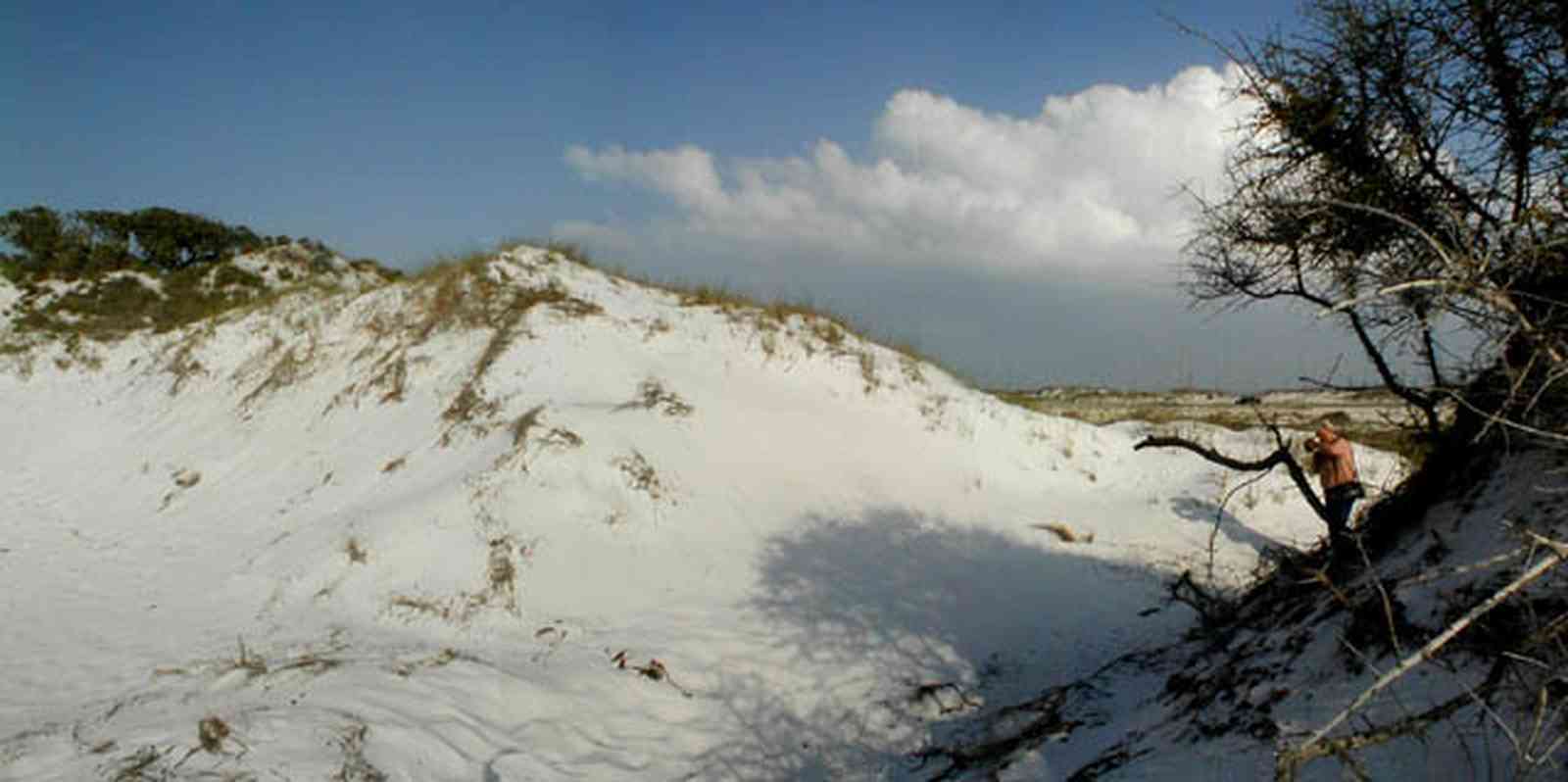 Pensacola-Beach:-Dunes_04.jpg:  santa rosa island, gulf of mexico, gulf islands national seashore, escambia county, cumulus clouds, beach, sand dunes, emerald coast