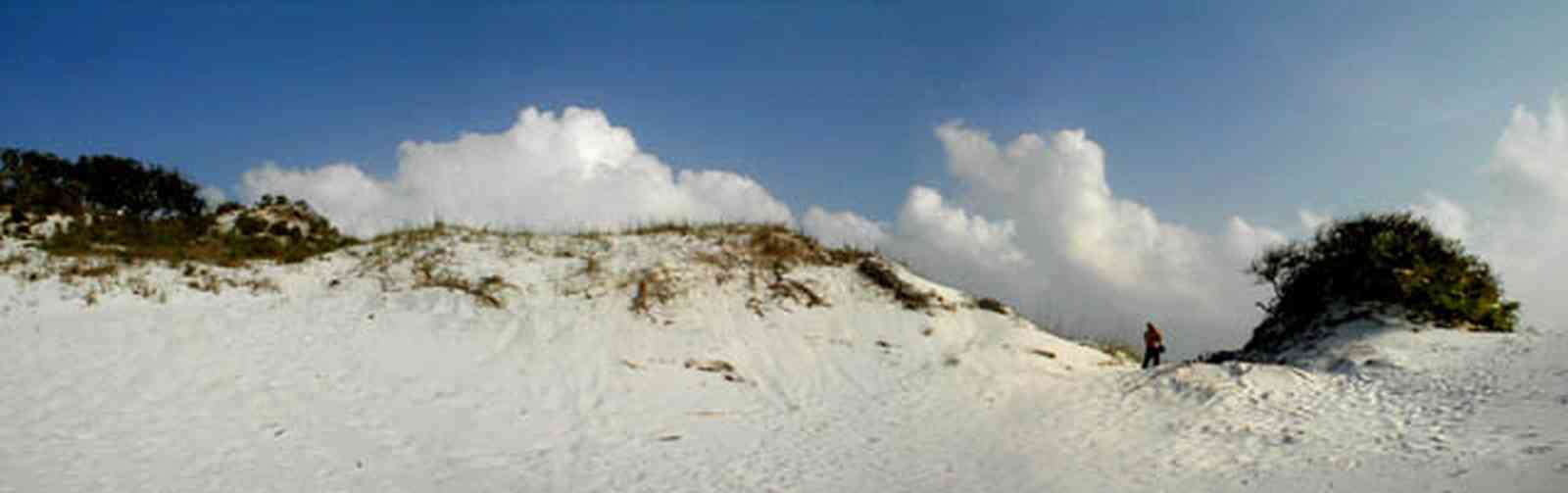 Pensacola-Beach:-Dunes_05.jpg:  santa rosa island, gulf of mexico, gulf islands national seashore, escambia county, cumulus clouds, beach, sand dunes, emerald coast