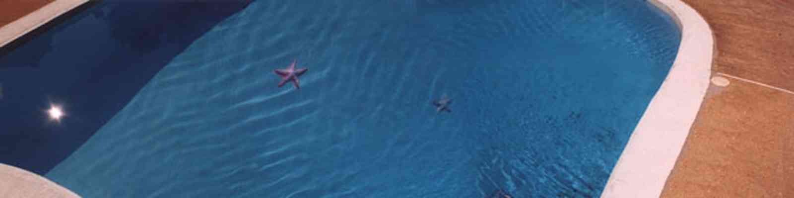 Pensacola:-Cordova-Park-Subdivision_04.jpg:  swimming pool, starfish, subdivision, ranchstyle house