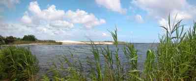 Pensacola:-Gateway-District:-17th-Avenue-Boat-Launch_02.jpg:  sawgrass, salt water bay, sand bar, cumulus clouds, pensacola bay