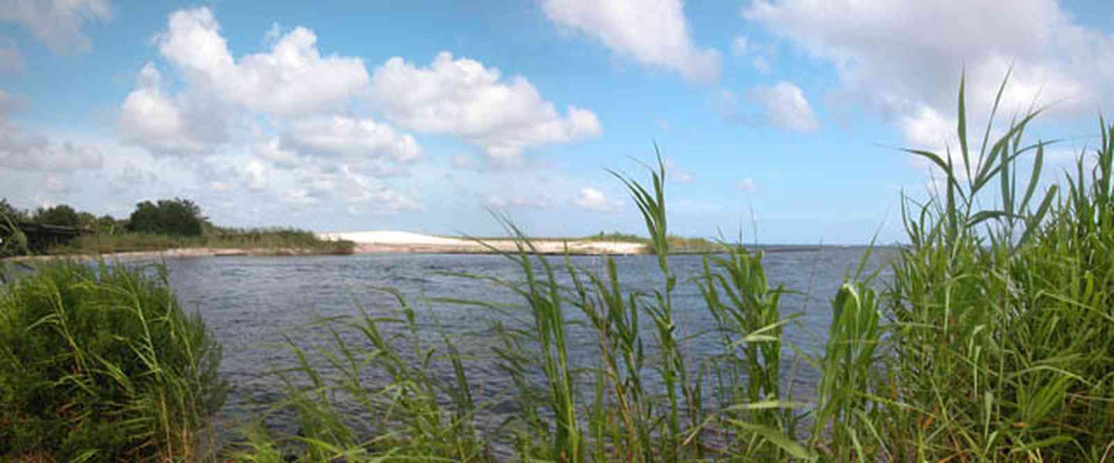 Pensacola:-Gateway-District:-17th-Avenue-Boat-Launch_02.jpg:  sawgrass, salt water bay, sand bar, cumulus clouds, pensacola bay