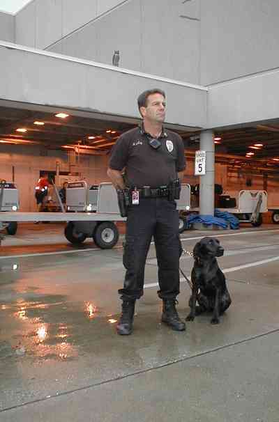 Pensacola:-Regional-Airport_10.jpg:  labrador retriver, police officer, luggage carriers, airport, airport security