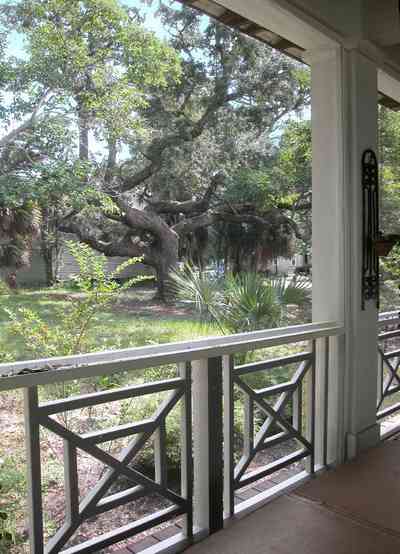 Pensacola:-Seville-Historic-District:-202-Cevallos-Street_26.jpg:  palmetto, palm, oak tree, screened porch, deck, patio, victorian cottage