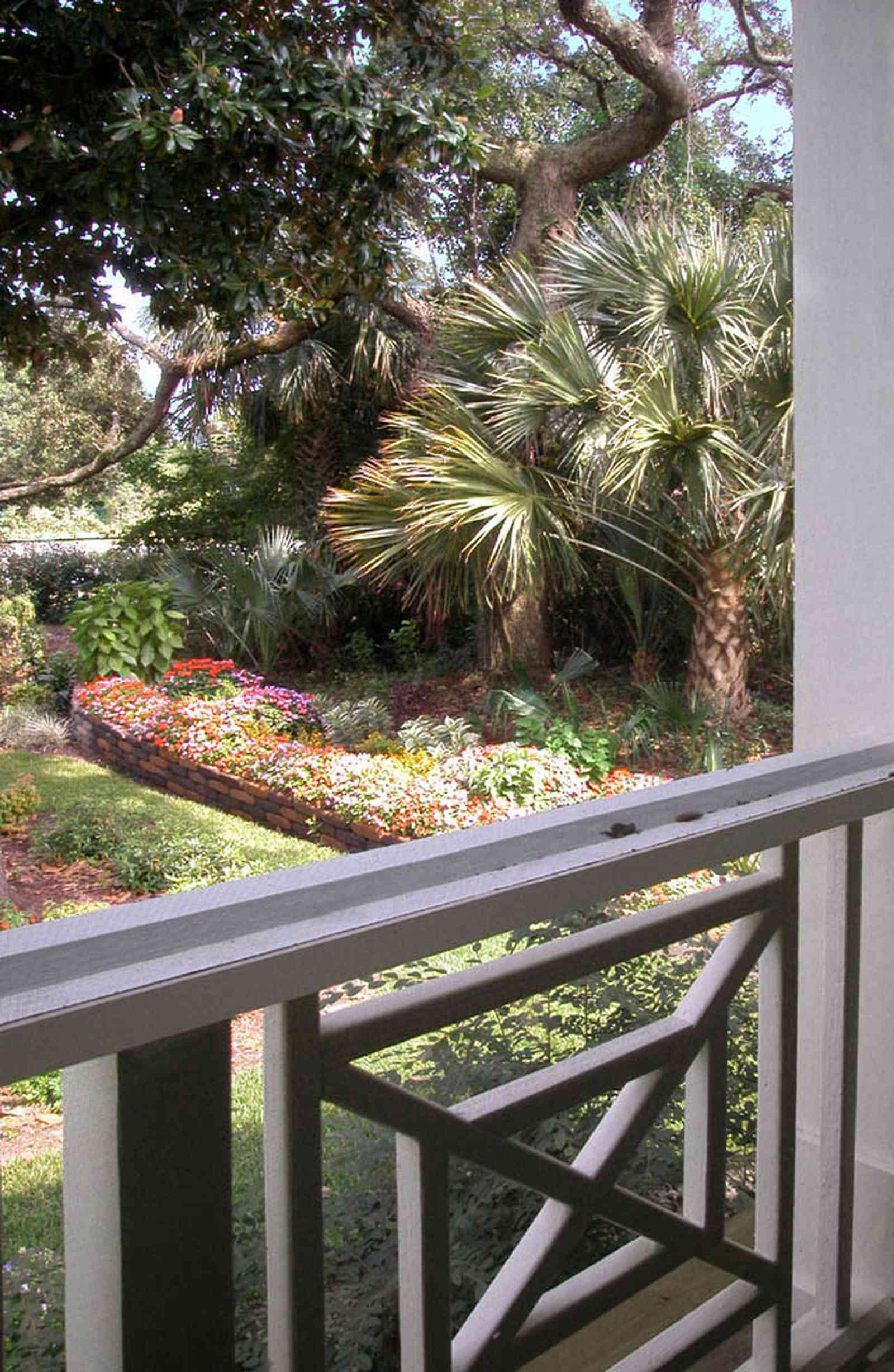 Pensacola:-Seville-Historic-District:-202-Cevallos-Street_27.jpg:  garden, palm trees, magnolia tree, oak trees, screen porch, victorian cottage, wooden decking, decorative balustrades, 