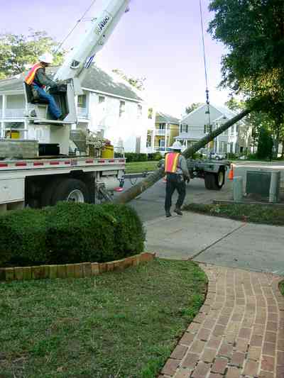 Pensacola:-Seville-Historic-District:-215-Cevallos-Street_17.jpg:  gulf power company, brick sidewalk, victorian cottage