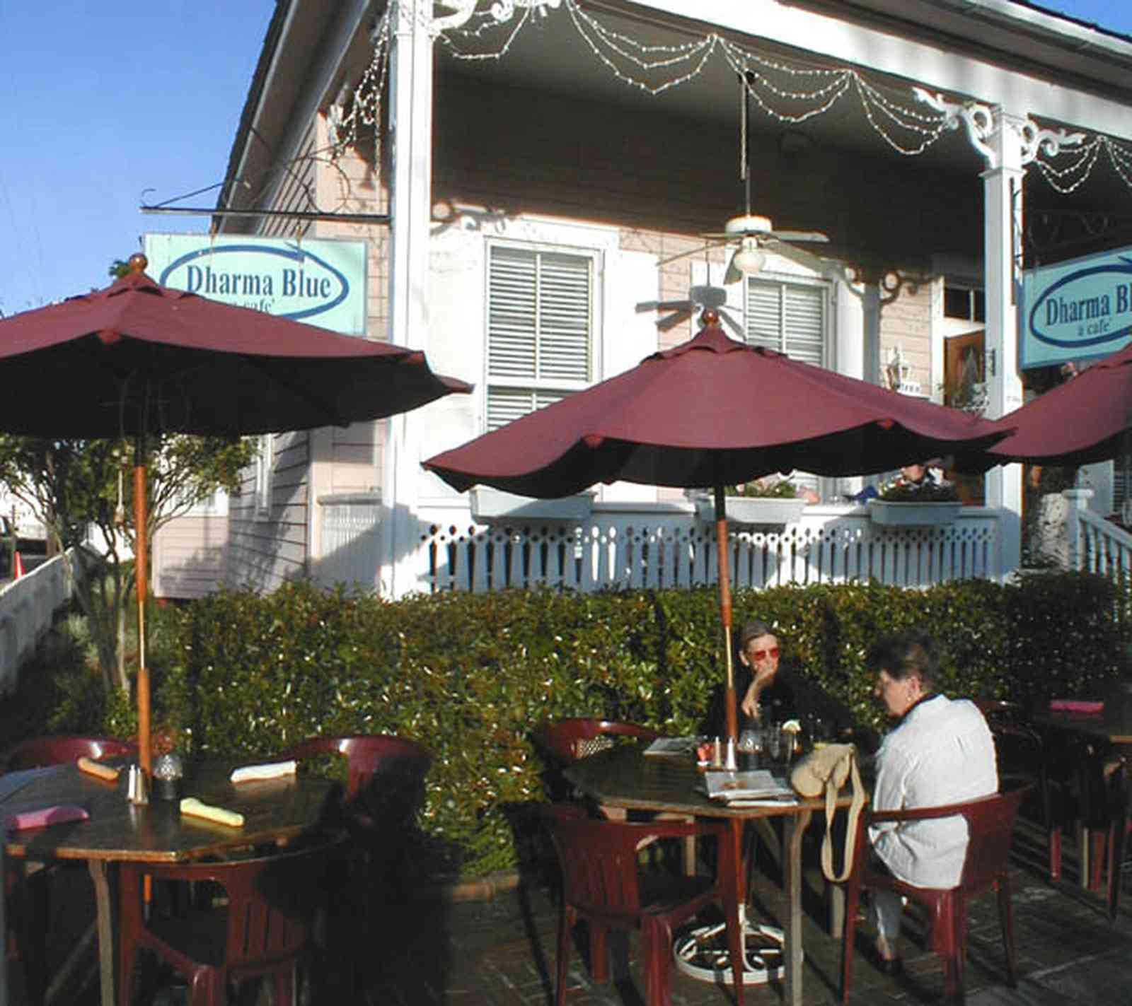 Pensacola:-Seville-Historic-District:-Dharma-Blue-Restaurant_10.jpg:  dining, restaurant, umbrella table, wisteria vine, hanging basket, sidewalk cafe, oak trees