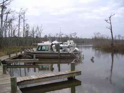 Pensacola:-Swamp-House_10.jpg:  bridge, swamp, house, river, waterways, escambia river, bait