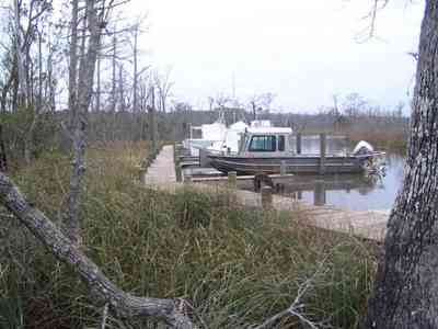 Pensacola:-Swamp-House_12.jpg Pensacola:-Swamp-House_12.jpg: boat, shore, swamp, pine trees,