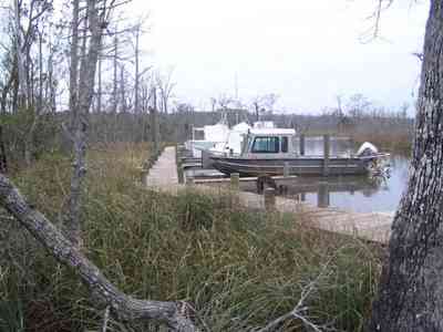 Pensacola:-Swamp-House_12.jpg:  boat, shore, swamp, pine trees, 