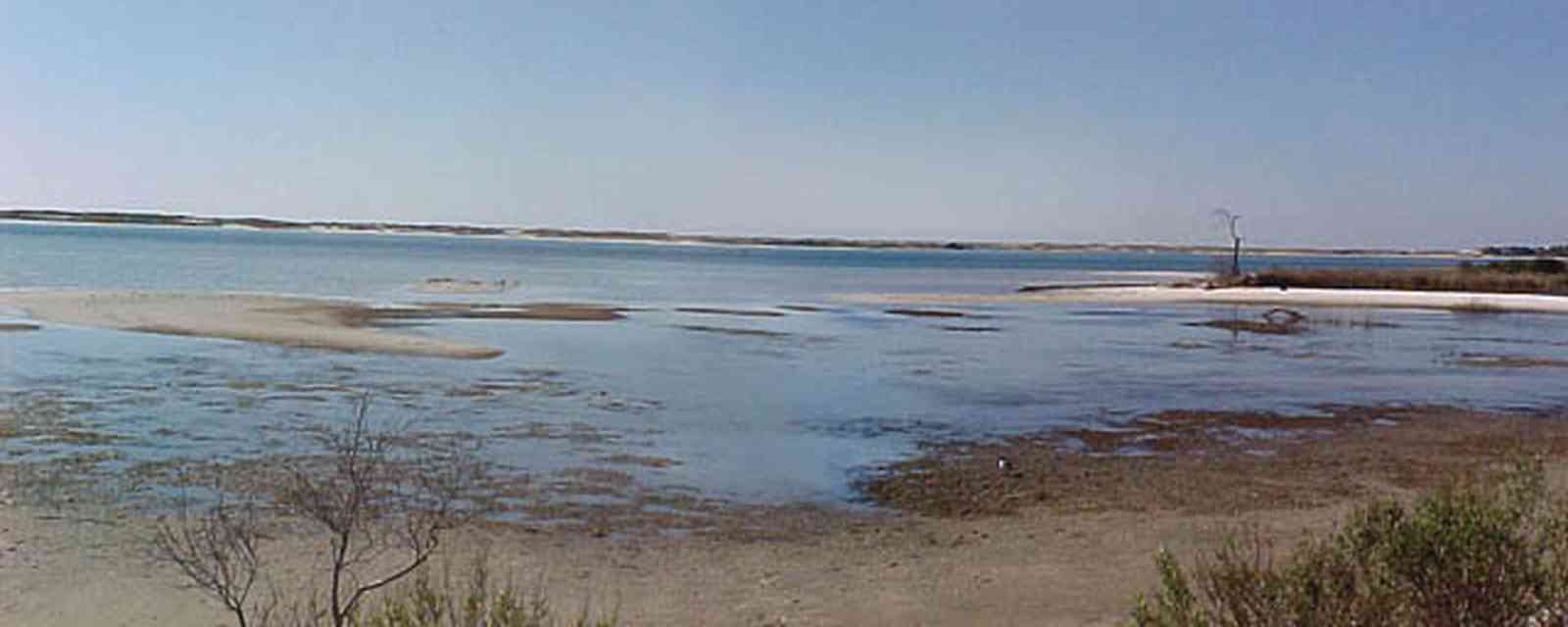 Perdido-Key:-Big-Lagoon-Recreational-Area_00.jpg:  saltmarsh, grand lagoon, brackish water, gulf of mexico, sandy ridge, estuary, shallow lagoon, brackish estuaries, ecosystem
