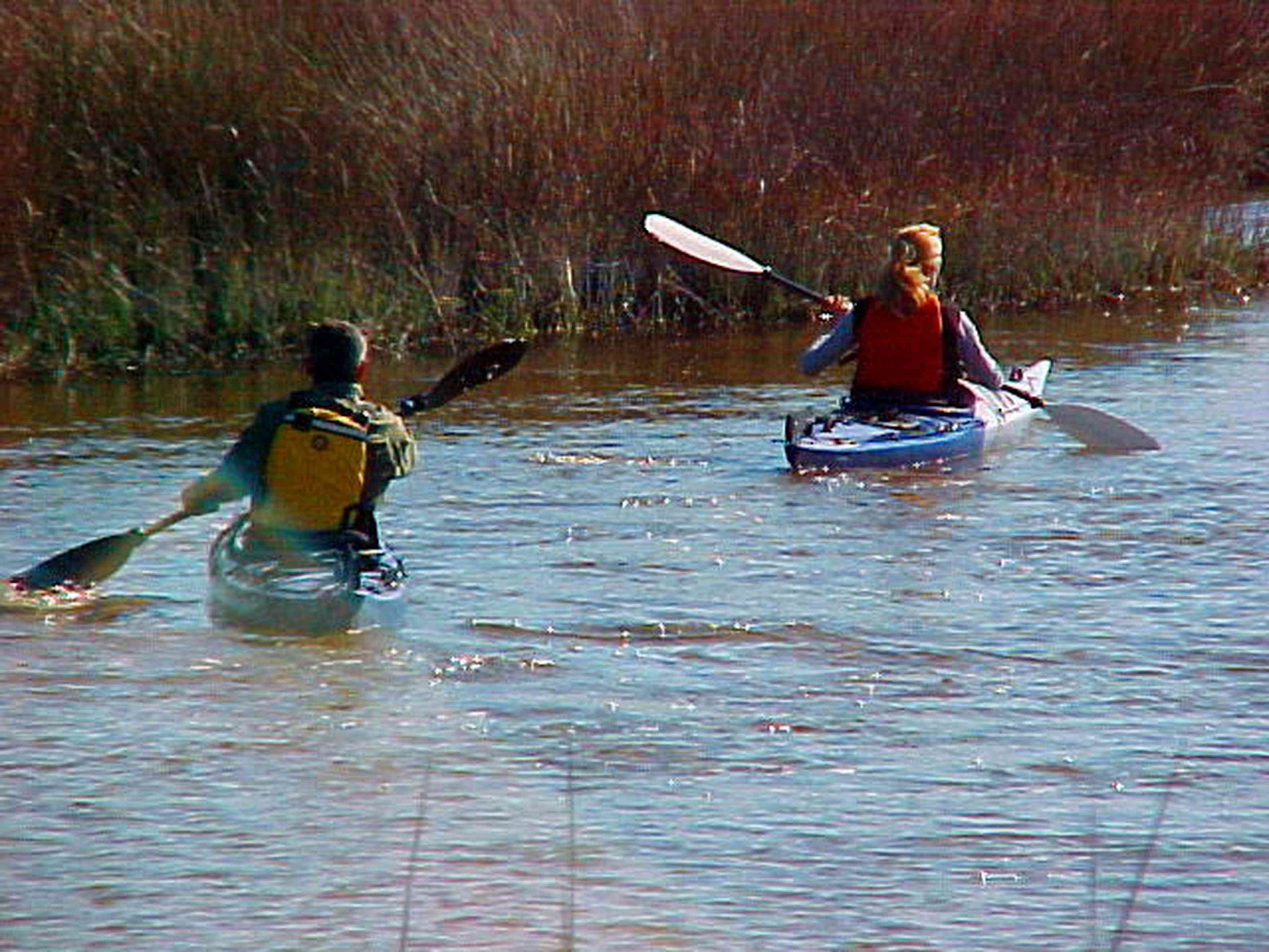 Perdido-Key:-Big-Lagoon-Recreational-Area_01.jpg:  perdido key, shallow lagoon, brackish estuary, seagrass bed, black needlerush grass, saltwater marsh, canoe, paddle, gulf of mexico, grand lagoon, saltwater marsh