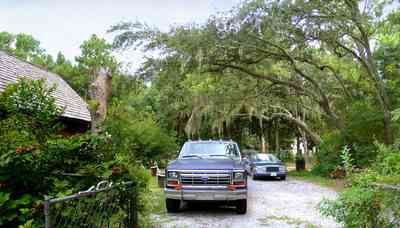 Peterson-Point:-Cobb-House_01.jpg:  driveway, spanish moss, 