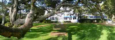 Sanders-Beach:-Pensacola-Yacht-Club_02.jpg:  oak tree, sail, lawn, club