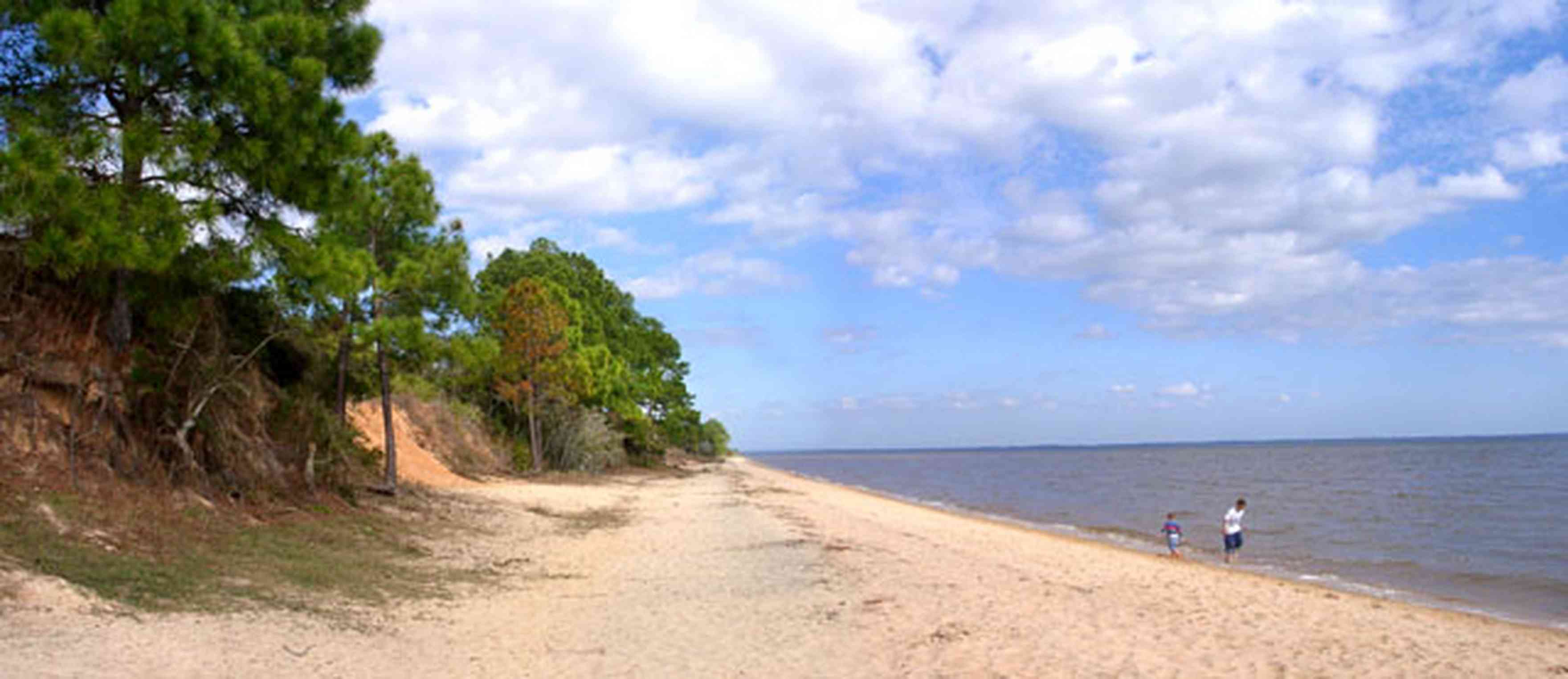 Scenic-Highway:-Bay-Bluffs-Park_06.jpg:  gulf coast, escambia bay, bluff, pine trees, cirrus clouds, beach