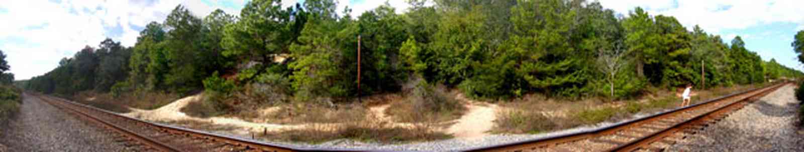 Scenic-Highway:-Bay-Bluffs-Park_07.jpg:  csx train tracks, pine trees, railroad tracks, 