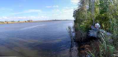 Scenic-Highway:-Mackey-Point_03.jpg:  driftwood, escambia bay, swamp