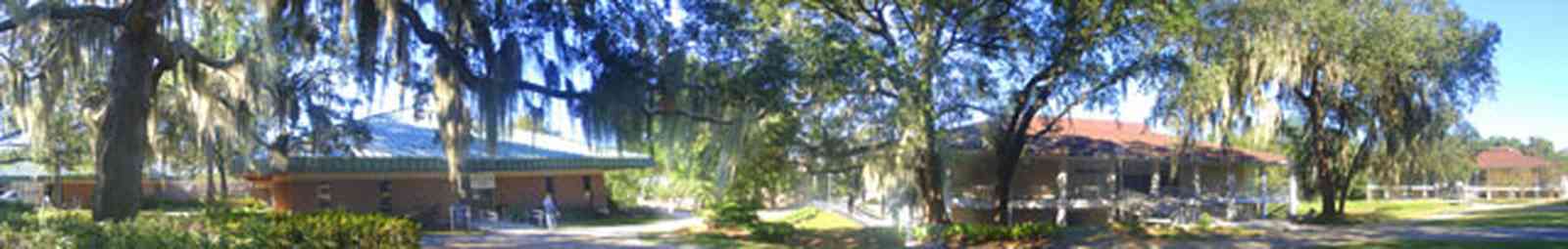 University-Of-West-Florida:-Campus_09.jpg:  classroom buildings, university, campus, students, spanish moss