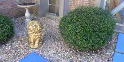 University-Of-West-Florida:-Campus_14.jpg:  mascot, student, dormitory, fraternity, sorority