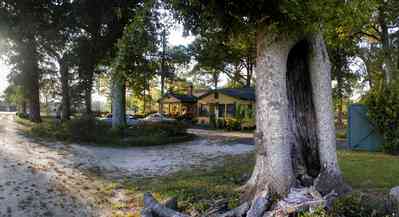 Walnut-Hill:-Dempsey-Farm_07.jpg:  farm land, farm house, oak tree, barn, chickens, farm house, 1930's bungalow, craftsman cottage, 