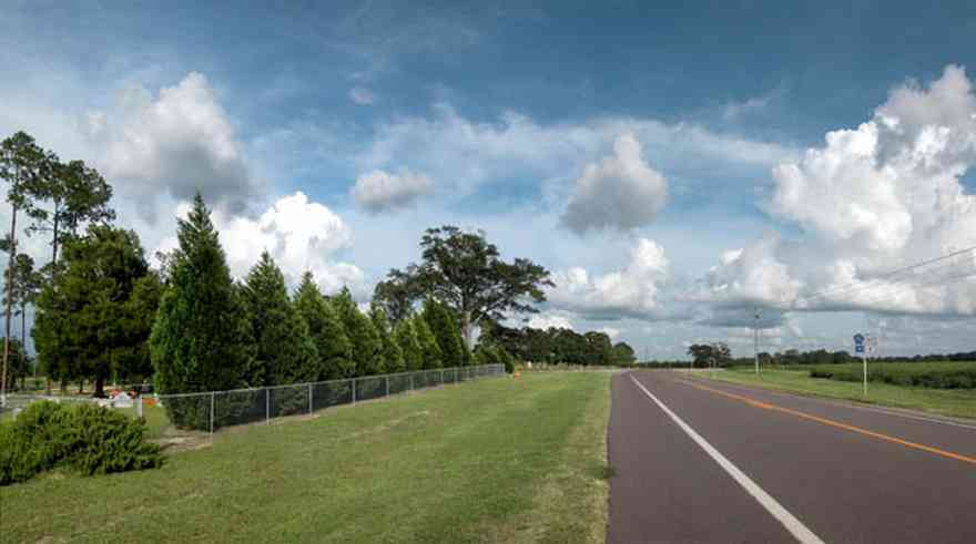 Walnut-Hill:-Hwy-97-Menonite-Church-Cemetary_01.jpg:  fir trees, red cedars, water oak trees, country