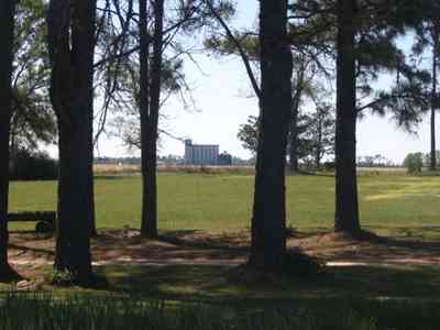 Walnut-Hill:-Kansas-Road-Wheat_04.jpg Walnut-Hill:-Kansas-Road-Wheat_04.jpg: wheat, farm, farms, walnut hill, march, grains, rural, mennonite