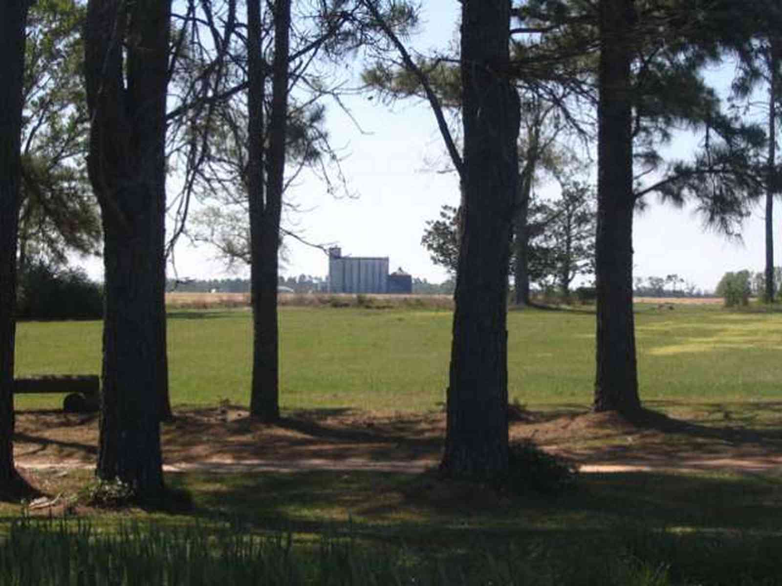 Walnut-Hill:-Kansas-Road-Wheat_04.jpg:  wheat, farm, farms, walnut hill, march, grains, rural, mennonite