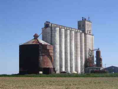 Walnut-Hill:-Kansas-Road-Wheat_09.jpg Walnut-Hill:-Kansas-Road-Wheat_09.jpg: wheat, farm, farms, walnut hill,grains, rural, mennonite, grain elevator,
