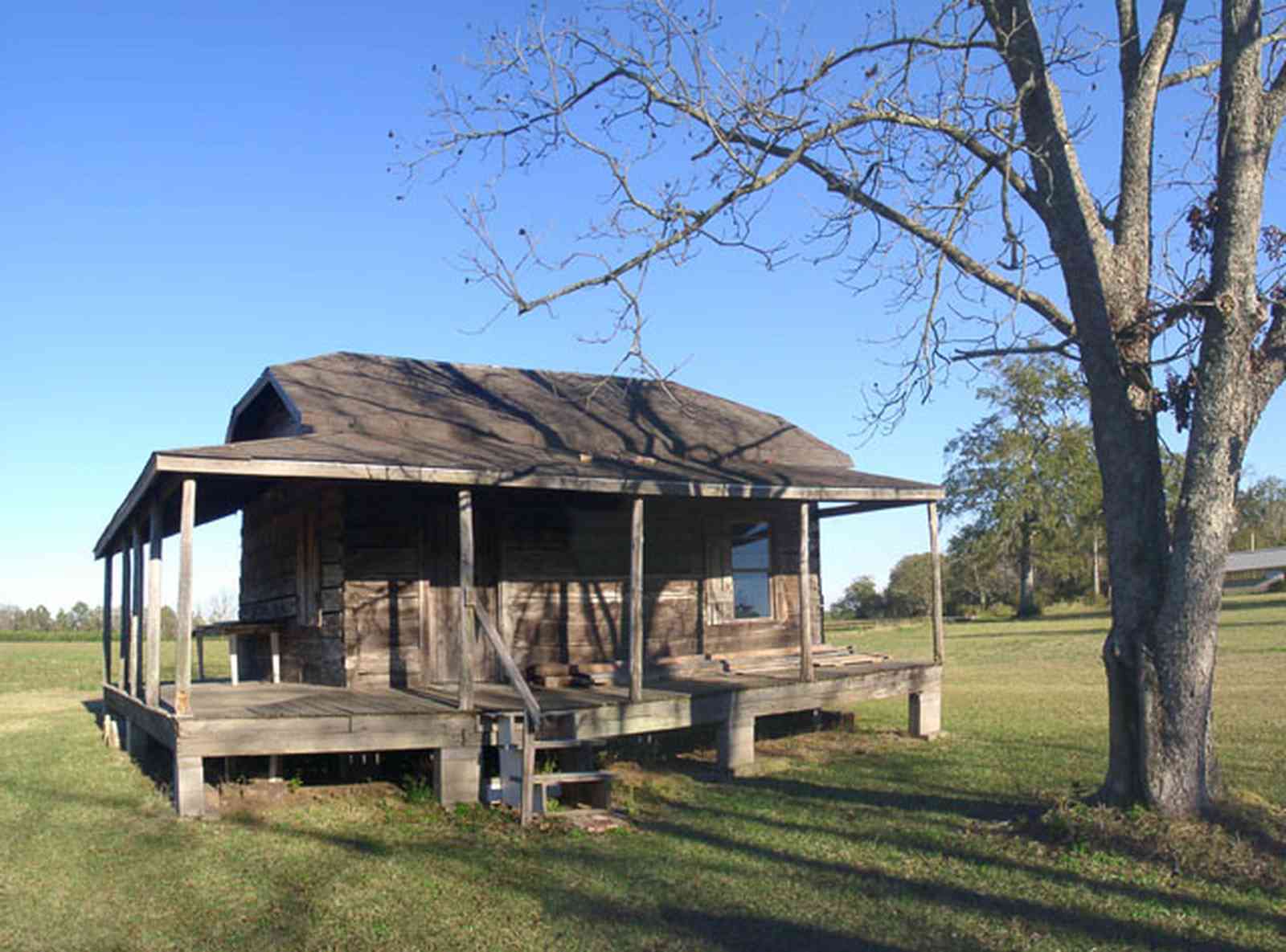 Walnut-Hill:-School_03.jpg Walnut-Hill:-School_03.jpg: pecan tree, log cabin, cotton field, ruitan club
