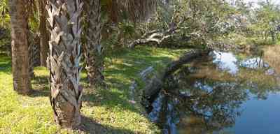 wilson+house-bayou_01.jpg:  